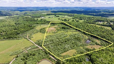 Lot 6 Gladesville