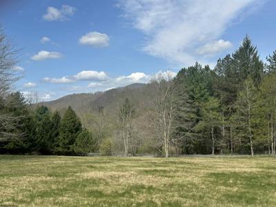 Lot 1 Bonner Mountain