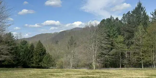 Lot 1 Bonner Mountain