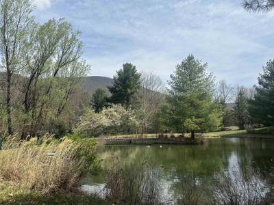 Lot 2 Bonner Mountain
