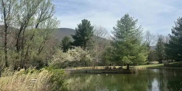Lot 2 Bonner Mountain