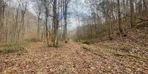 TBD Sand Fork