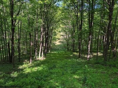 975 Whiteman Run