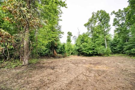 Lot 4 Burnt Cabin
