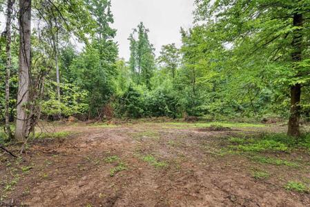 Lot 7 Burnt Cabin