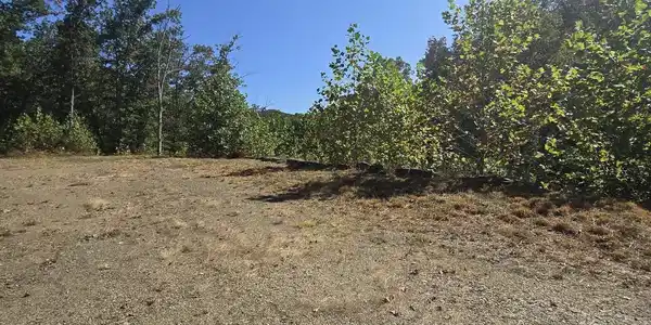 Lot 28 Woodland