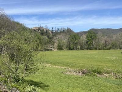 TBD Cheat Valley