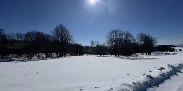 18 Pointy Knob