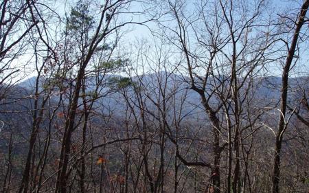 Lot 1 Caesar Gap Road