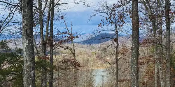 Lot 8 Drake Ridge