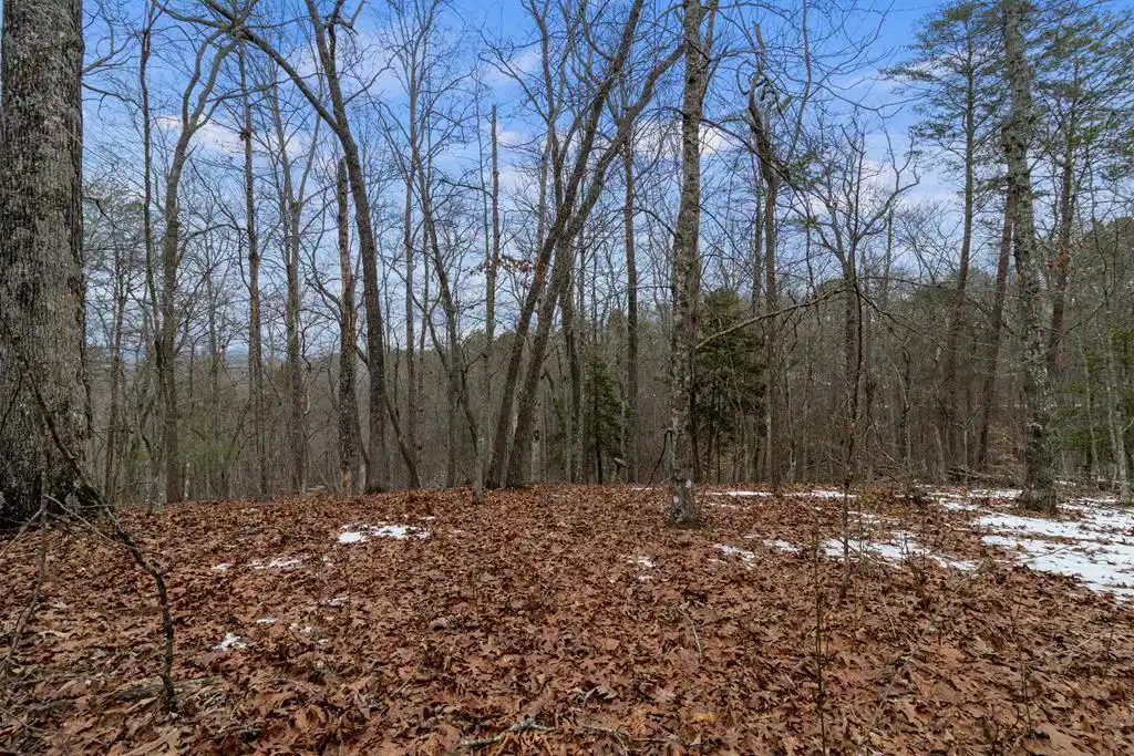 Image 1: Main View