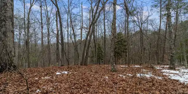 TR4 Curtis Ridge Road