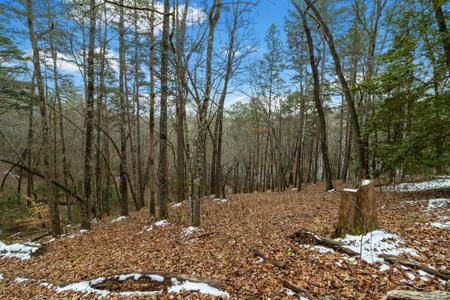 Lot 5 Curtis Ridge Road