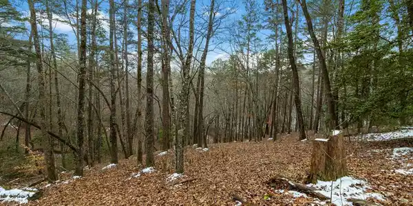 Lot 5 Curtis Ridge Road