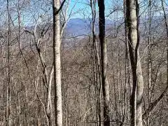 Lot 29 Hidden Summit Road