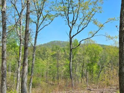 Lot 209 Oak Park Drive