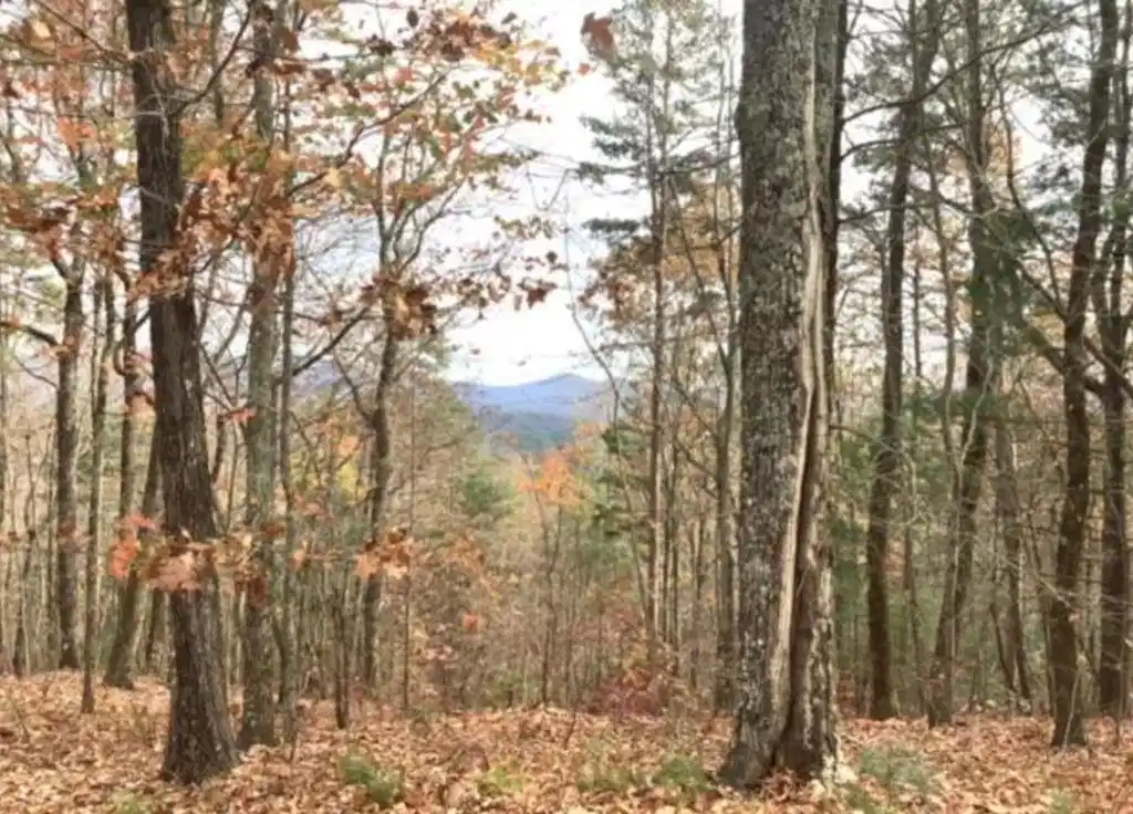 Image 1: Main View