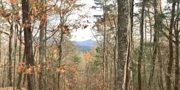 Lot 17 Abbott Mill Road
