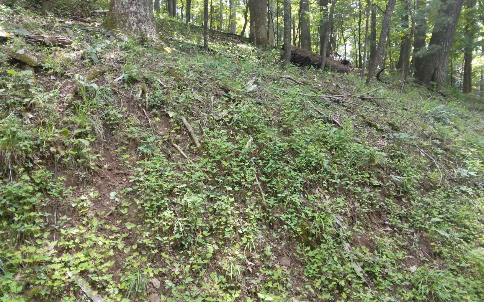Image 2: Additional View