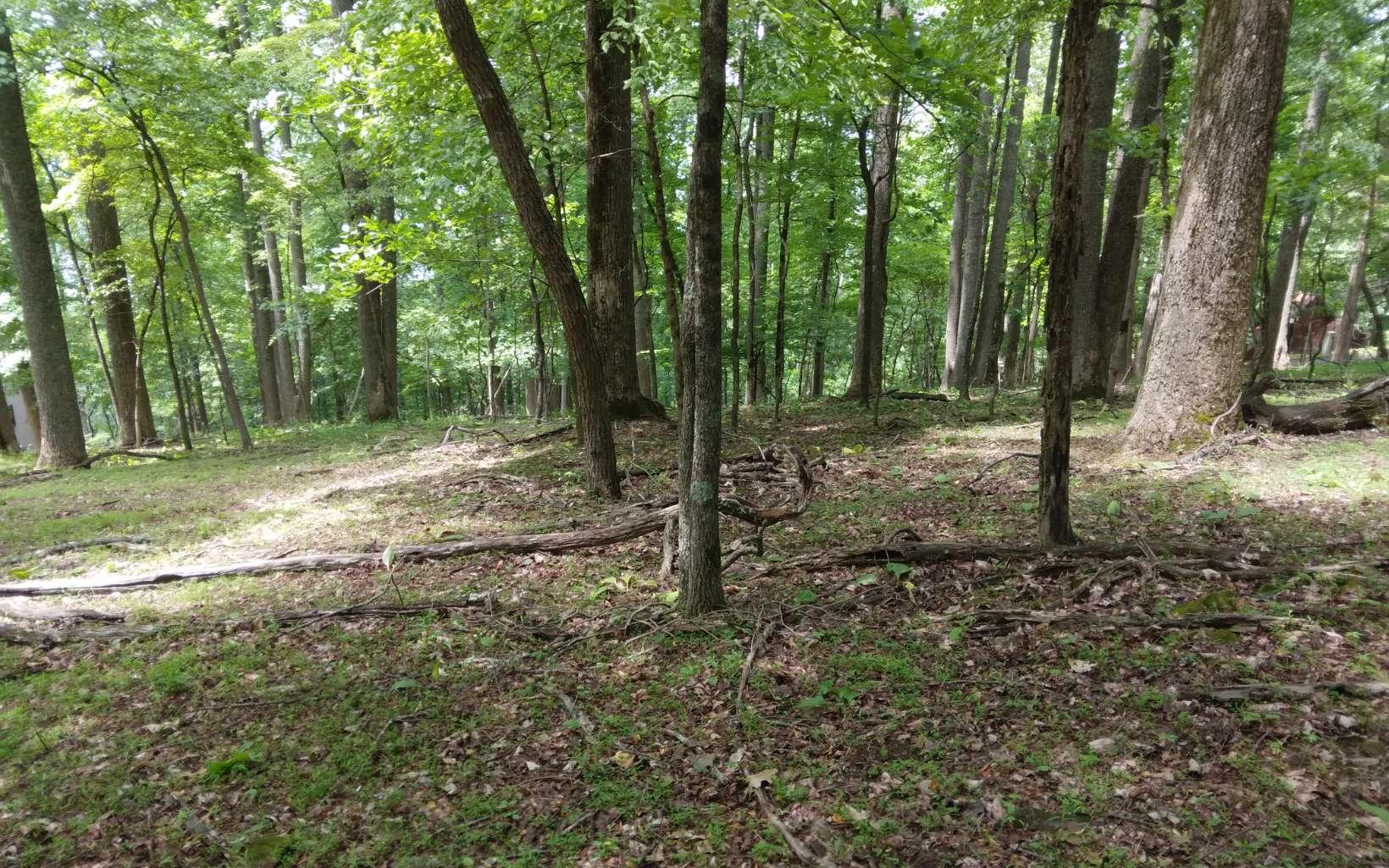 Image 3: Additional View