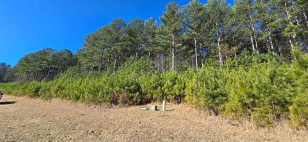 Lot 41 Deyton Drive