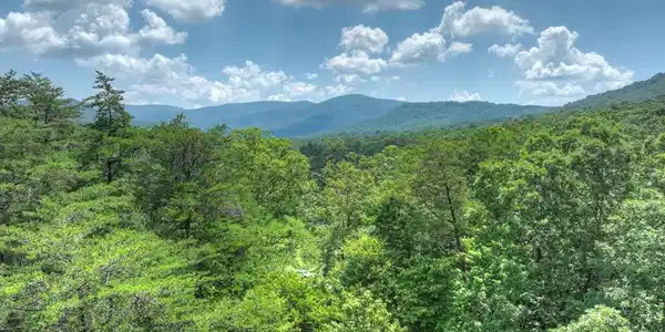 Lot 34 Greystone Trace