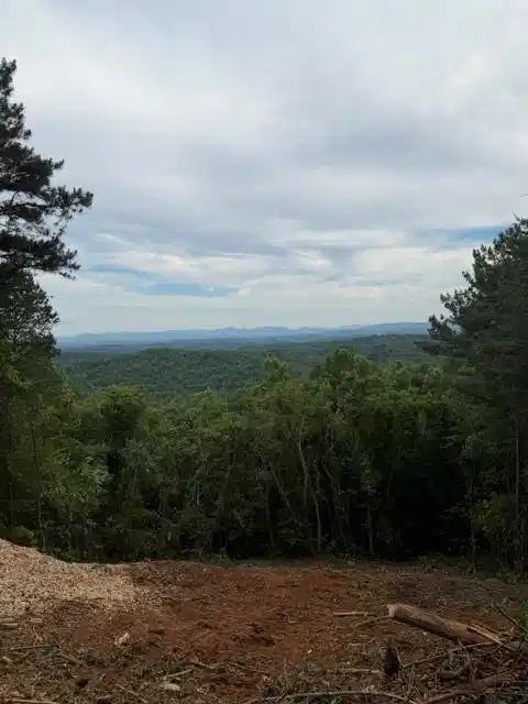 Image 1: Main View