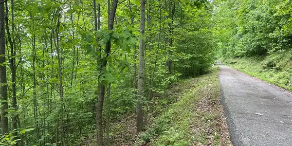 Ten Pointe Trail