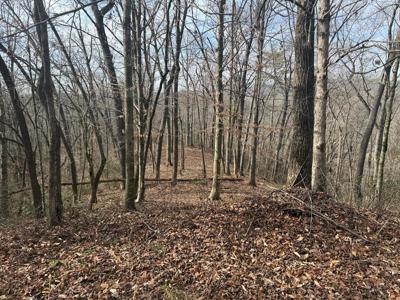 Smoky Mountain Ridge