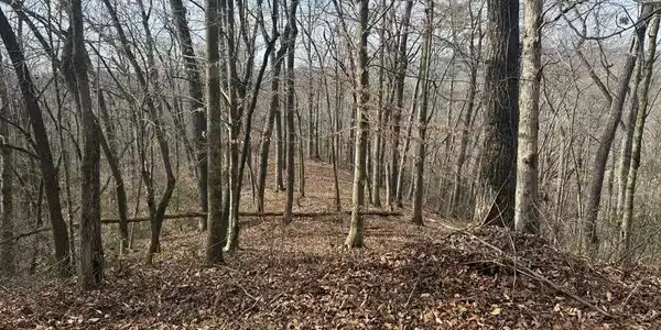 Smoky Mountain Ridge