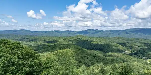 Lot 111C Puett Cove Estates