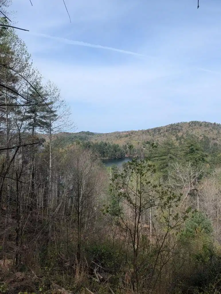 Image 1: Main View