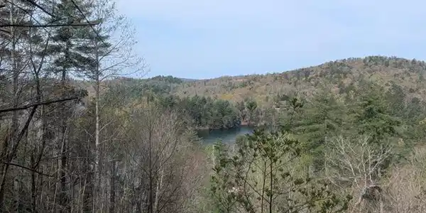 Lt 7A Lake Appalachia Ac Drive