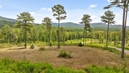 Lot 206 Oak Park Drive