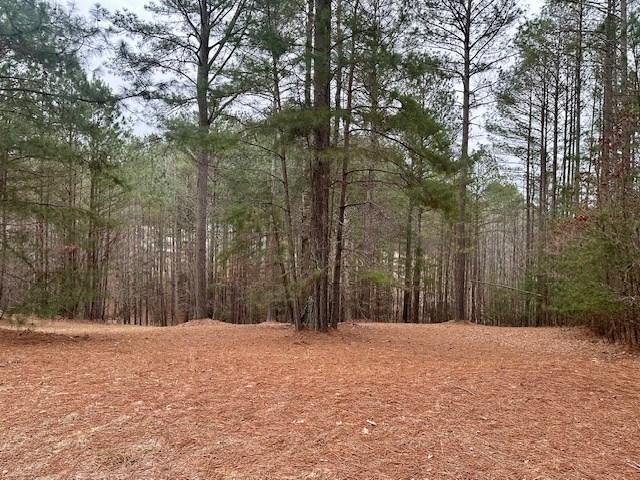 Image 2: Lot View