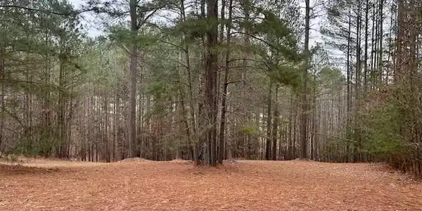 Image 2: Lot View