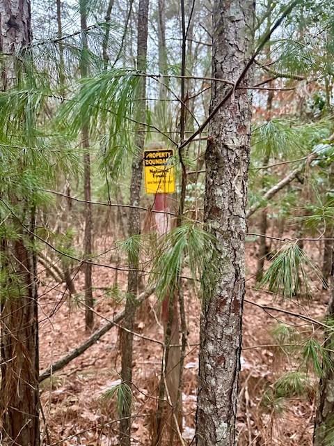 Image 4: USFS Frontage Sign