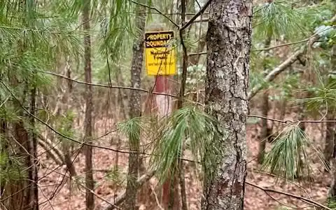 Image 4: USFS Frontage Sign