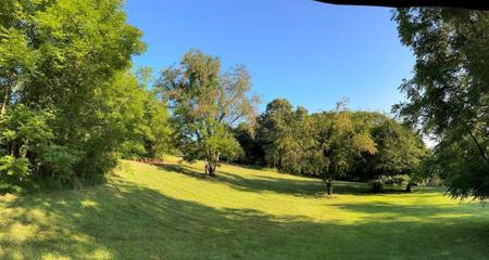Sherwood Forest Drive