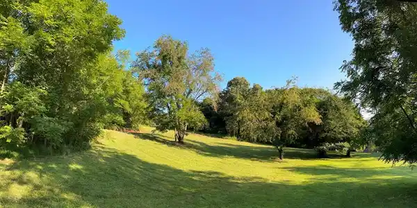 Sherwood Forest Drive