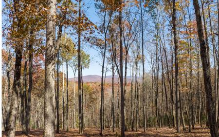 19R Settlement Trail