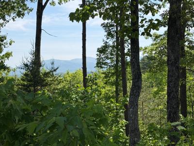 Lot 31 Summit View Lane