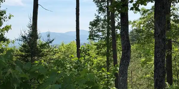 Lot 31 Summit View Lane