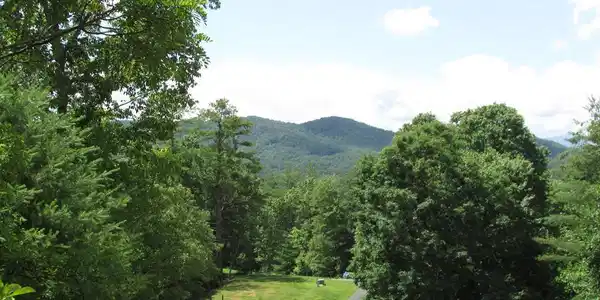 #34 Shelton Springs S/D