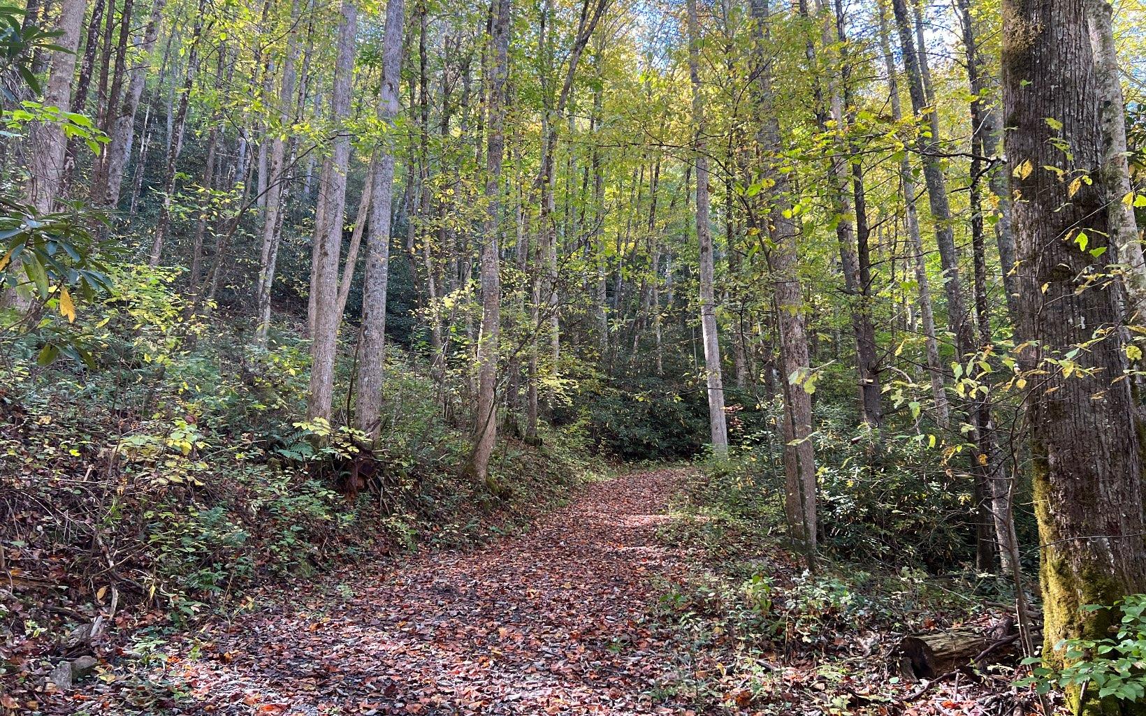 Image 2: Additional View