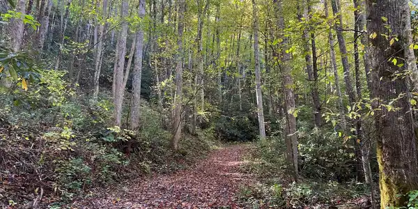 Image 2: Additional View