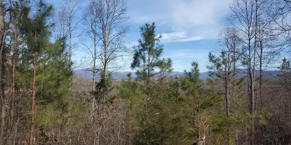 lot 25 Meadow Brooke