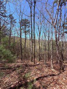 Lot 751 Morton Drive
