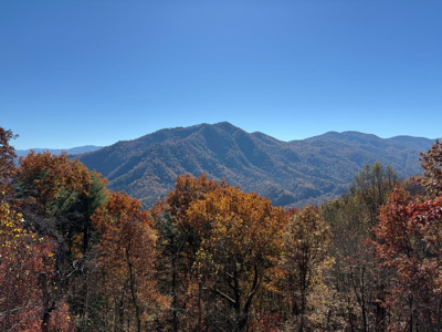 65 Acres Long Branch Road