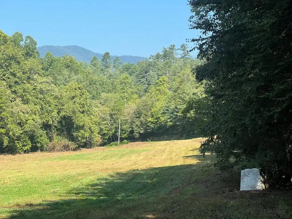 Image 1: Main View